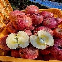 [안동부사사과] [올팜스] 당도선별 햇 부사 사과 대과 5kg 고당도 청송 안동 사과, 부사 사과/5kg/대과