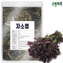 국내산 건조 자소엽 300g 차조기 차즈기 자소엽차 차즈기 자소엽차 자소엽 잎, 자소엽 600gx1팩