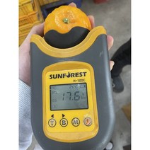 탐라인 고당도 설국향 가정용 5kg, 1box