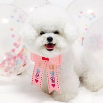 핑크캔디 강아지 고양이 리본화환 생일파티 강아지화환, 리본화환(컬러밴드)_아이보리(레인보우)