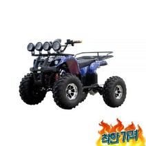 사발이바이 사륜 4발 바이 농업용운반차, 베가모 전기 비치카