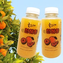 귤뜨레 착즙 제주 감귤주스 240ml 7개입 14개입 한라봉 천혜향 쥬스, 감귤주스 240ml 14개입