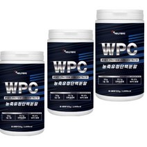 WPC 농축유청단백 분말 500g 류신 발린 아르지닌 단백질 쉐이크 보충제 프로틴 미국산 운동직후 운동전후 운동할때 헬스 프로틴 헬스보충제 BACC 근육만들기, 500gx3병