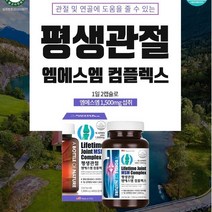 평생 관절 엠에스엠 1300mg*60정 및 연골에 도움을 줄수있는 평생관절, 1개