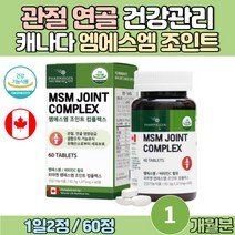 70대 80대 노인 무릎 관절 건강 조인트 엠에스엠 부모님 환갑 선물 캐나다 식이유황 MSM 40대 50대 여자 손목 통증 초록입 홍합 함유 엠에스엠 어르신 관절 연골 영양제