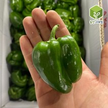 국내산 못난이 피망 청피망 보통 10kg, 단품