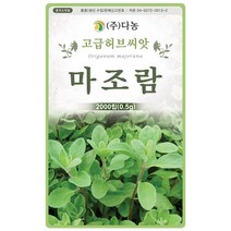 스위트바실 3g - 허브 허브씨 허브씨앗 씨 씨앗 바실 바질 스위트바질 바실씨앗 바질씨앗 꽃씨 꽃씨앗 Sweet Basil, 16_다농_마조람(0.5g)