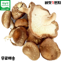 1kg표고버섯무농약 판매순위 1위 상품의 리뷰와 가격비교