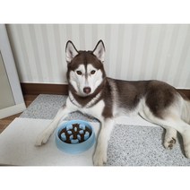 강아지 급체 방지 식기 노즈워크 반려견 식습관 개선 훈련 소형 대형 사료 밥그릇, 하트기둥, 그린