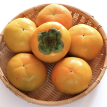 경남 창원 진영 단감 5kg 10kg 소과 중과 대과, 5kg L(20-23개)