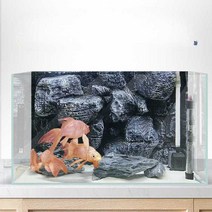 테라보드 비바리움 테라리움 백스크린 팔루다리움 사육장 60X45cm, (PU29-3)