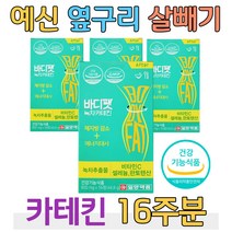 30대 결혼 준비 예비 신부 옆구리 살 카테킨 다이어트 식약처 인증 건강 기능 식품 녹차 추출물 비타민 C 먹는 다이어트 예신 웨딩 단기간 한달 두달 일주일 하체 다리 팔뚝살