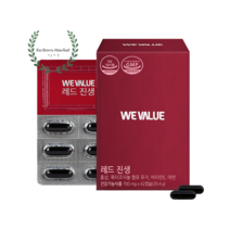 레드 진생 6년근 홍삼 옥타코사놀 아연 42캡슐 지구력 여성 갱년기 영양제