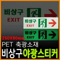 리플렉스 비상구 사각 PET 축광스티커(250x80mm) 야광스티커 지하실 지하상가 유광코팅 뛰어난 점착력