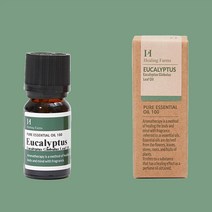 힐링팜스 영국 천연 아로마 에센셜 오일 10ml, 유칼립투스 향 10ml