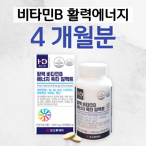 하루1정 활력 비타민B군 에너지 보충 멀티비타민 나이아신 판토텐산 비오틴 엽산 홈쇼핑 프리미엄 영양제 성분 가격 효능 비교 식약처 인정 인증 건강 기능 식품, 2통, 1000mg x 60정 (하루 1정)