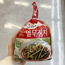 [홈플러스] 대상 종가집열무김치 900g x 1개, 아이스박스포장