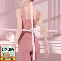하루10분 바른자세 밸런스바 2color 요가 척추 스트레칭봉 홈트용품 자세, 핑크