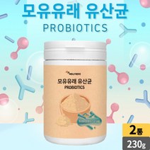 모유유래 유산균 프리미엄 생유산균 19종 프락토올리고당 probiotics 락토바실러스 람노서스 파라카제이 플란타룸 카제이 루테리, 2개, 230g