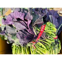 (가락시장까망콩) 토종갓 알싸하고 톡쏘는 홍갓 1단 1k 300 내외