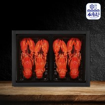 캐나다 프리미엄 자숙랍스터 선물세트 2호 4미 1.6~1.7kg미당 400~450g, 단품