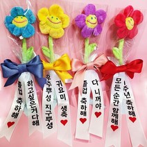 스마일꽃 인형 고급리본 꽃다발 화환 어린이집 생일 졸업 기념일 축하메세지 귀여운 선물 토퍼 할인+사은품+쇼핑백, 연핑, 빨강