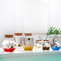 유리자갈 마리모 키우기 유리병 수경 반려식물 알카이브, A.푸딩병_바다