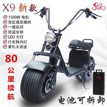 출퇴근 대학생 통학 빅 타이어 전기이륜차 배달 부업, X8 60km 60V