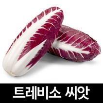 트레비소 가성비 좋은 제품 중 알뜰하게 구매할 수 있는 판매량 1위 상품