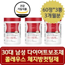 30대 남성 다이어트보조제 콜레우스 체지방컷팅제 40대다이어트 남자 허리살 50대 뱃살빼기 체지방감소 영양제 중년 직장인 야식 회식 폭식 급찐살 복부 다이어트보조제추천 건강기능식품