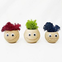 (TD) 모스 토기쟁이 화분 만들기 - 1인세트 탈취 제거 천연 가습기 제습기 화분만들기 점토 스킨디아모스 교육 꾸미기 만들기