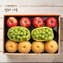 빛과나무 명절후배송빛과나무프리미엄팩 사과.배.샤인머스켓 5kg(사과4입배4입샤인2입) -인증