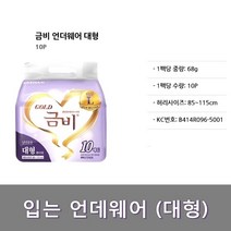 금비 언더웨어 대형 (1팩) 성인기저귀, 1팩, 10매입