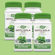 네이쳐스웨이 고투콜라 950mg 100베지캡슐 2+2 4통, 기본