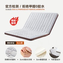 B야자섬유 3cm패드+라텍스 3cm패드 2단 접이식 매트리스 단단한 갈색 하드 매트, A. type 1_단일상품