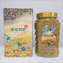 숙이네 바른벌꿀 국내산 100% 벌화분 국산 비폴렌 벌꿀화분 건조화분 생화분 먹는 천연 꽃가루, 건조화분 500g
