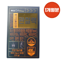 뉴온 김수현 보스웰리아 가자 관절연골건강 관절력 800mg X 30정 (30일분)