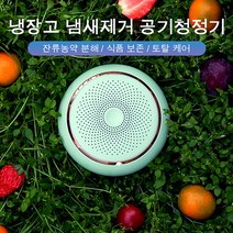 공기청정기 냉장고살균탈취기 오존탈취신기 펫살균소독 휴대용탈취기, 단아한 가루