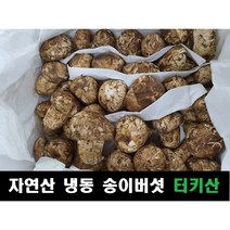 [송이싸리버섯] 송이버섯 자연산 냉동 터키산, 4등급(20송이내외, 모양크기랜덤), 500g
