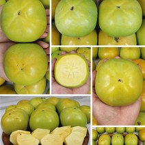 아삭한 식감 달콤한 과즙 껍질째 먹는 밀양 햇 태추단감 4.5kg, 대 4.5kg 14-17과, 1개