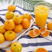 새콤달콤 돌담 가정용 하우스감귤 2.5kg 꼬마 47-60과(2S미만), 단품