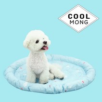 GOREA. 노곤하개 강아지 고양이 애견 쿨매트 방석 소형 중형 대형견, 콕스카이, 매트형