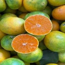 탐라인 제주 산지직송 극조생 로얄과 10kg내외 가정용, 1box, 10kg