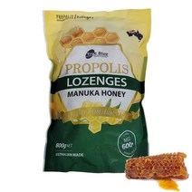 프로폴리스 사탕 800g 코스트코 프로폴리스 마누카허니 사탕 목캔디 허브캔디, 상세페이지 참조