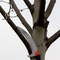 나무 가지 치기 장톱 고지 장대톱 고공 전지톱 장대톱 전정 가지치기톱 고지톱 전지 나무가지자르는 톱날, 전지톱+알미늄장대(5미터), 전지톱+알미늄장대(5미터)