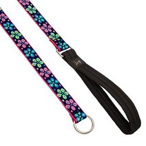 LupinePet Originals 1” Flower Power 6-foot Slip Lead/Leash for Medium and Larger Dogs, 상세참조, 1