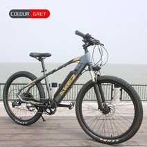 배달용 산악 AKEZ-전기 산악 자전거 16 인치 36V350W 속도 40 KM/H 9 단, 03 Grey, 한개옵션1