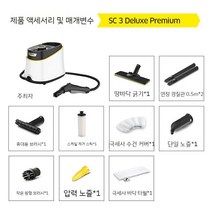 고온스팀청소기 가정용 고압 소독 스팀기 살균기 스팀분사기 바닥, 1. Deluxe
