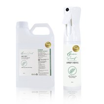 PREMIUM 초록향기 피톤치드 300ml + 2L, 1세트