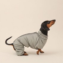 다이내믹 위켄드_닥스훈트, 버건디